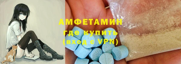 гашик Богданович