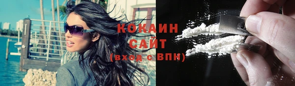гашик Богданович