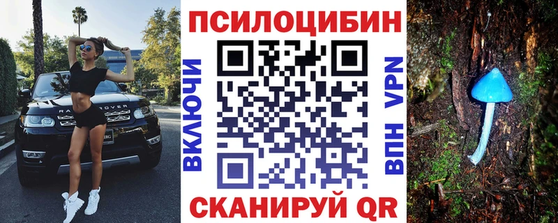 Галлюциногенные грибы Psilocybine cubensis  Славгород 